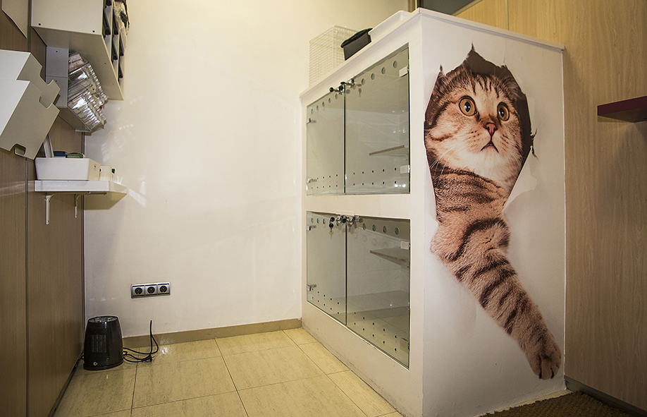 05-Triavet Cli╠ünica Veterinaria